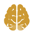 Basketball IQ